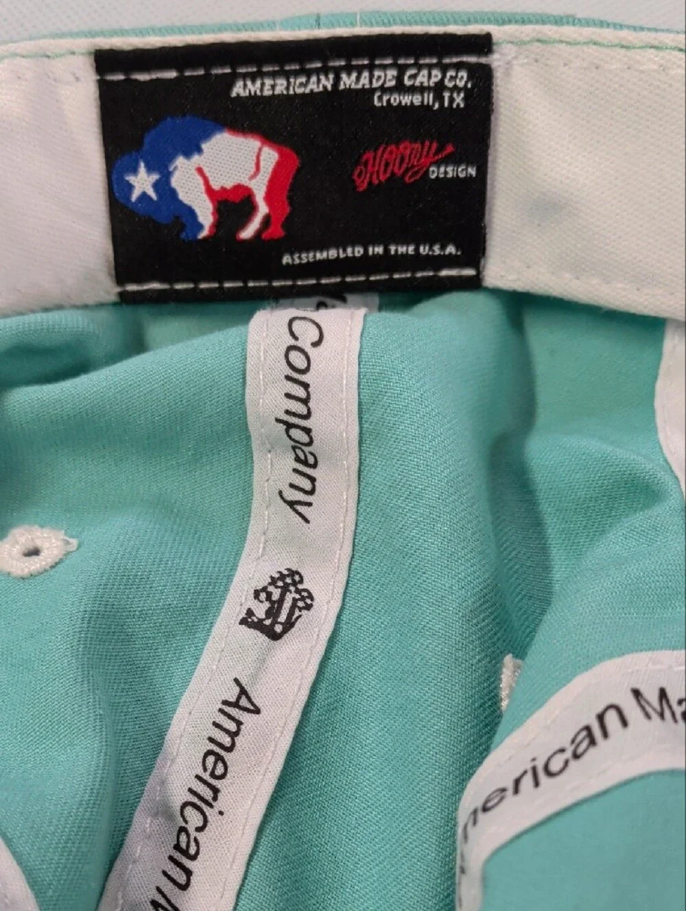 Hooey Mint Teal Baseball Cap with Purple Embroidery
